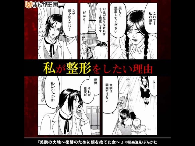 美醜の大地 復讐のために顔を捨てた女 Youtube
