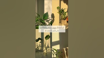 #آيات #الله #تلاوة #حالات #قرآن #قران_كريم #إذكروني_بدعوة #راحة_نفسية #اكسبلور #اذكار #حلات_واتس