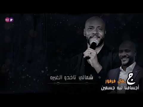 جمال فرفور  أجسامنا ليه جسمين  جلسة عود  ستوري واتس