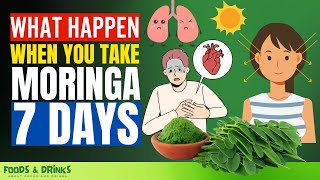 Moringa Benefits (11 Health Benefits You Will Get When You Take 7 Days)