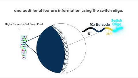 How it Works | Single Cell Immune Profiling with Feature Barcoding Technology