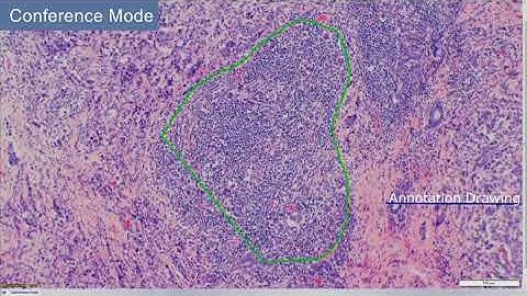 cellSens: Conference Mode