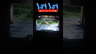 Jayjay The Jet Plane Who Turned The Airport Upside Down