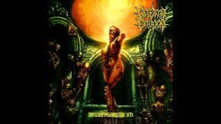 Cerebral Effusion - Absolute Excrement
