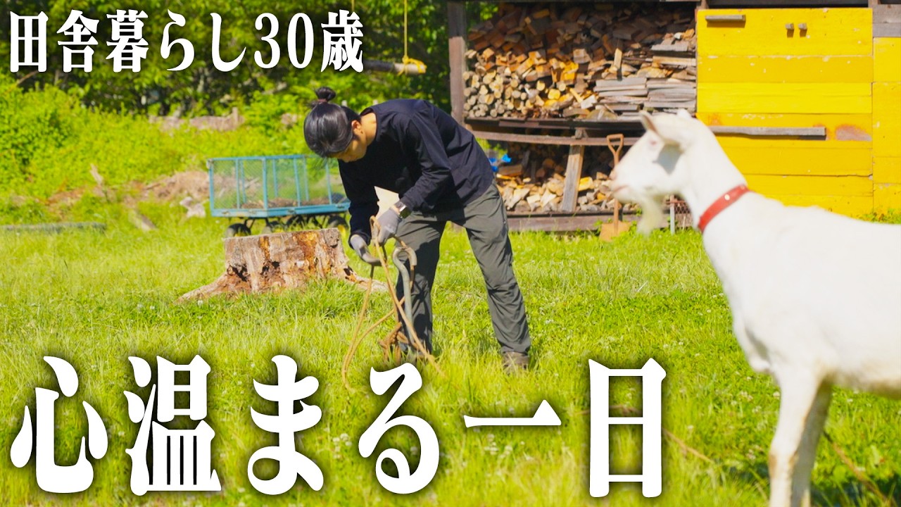 【田舎暮らし】大自然の中にある古民家宿に素敵なものが届きました【AWOL Valerion Max】
