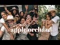 Vlog: NY Apple Orchard | too many ciders later...
