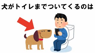 犬の不思議な可愛い行動の雑学