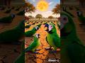All parrots were dying due to heat but Big parrot makes them ice house#ai #parrot