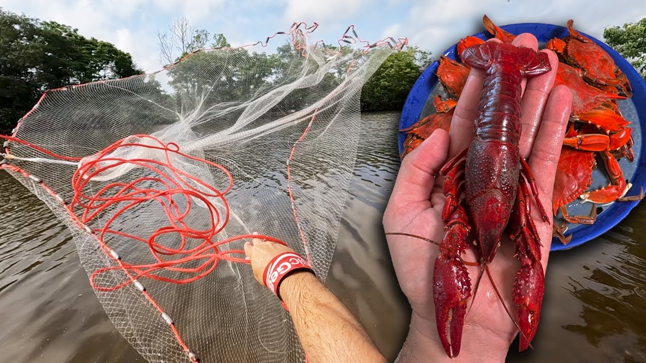 Catching CRABS and GIANT CRAWFISH with NETS and Traps for a Catch