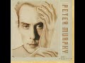 My Last Two Weeks PETER MURPHY mp3