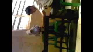 JoanVeno Part I.mp4