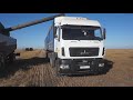 Зерновоз ТОНАР 95411 на уборке льна на Севере Казахстана