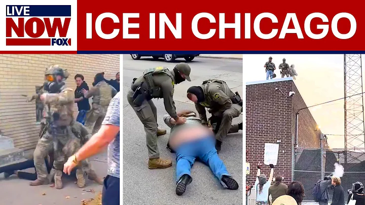 WATCH multiple dramatic ICE arrests in Chicago