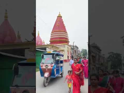 ভিডিও: যুদ্ধের সময় সোভিয়েত স্ব-চালিত বন্দুক (1 অংশ)-Su-76