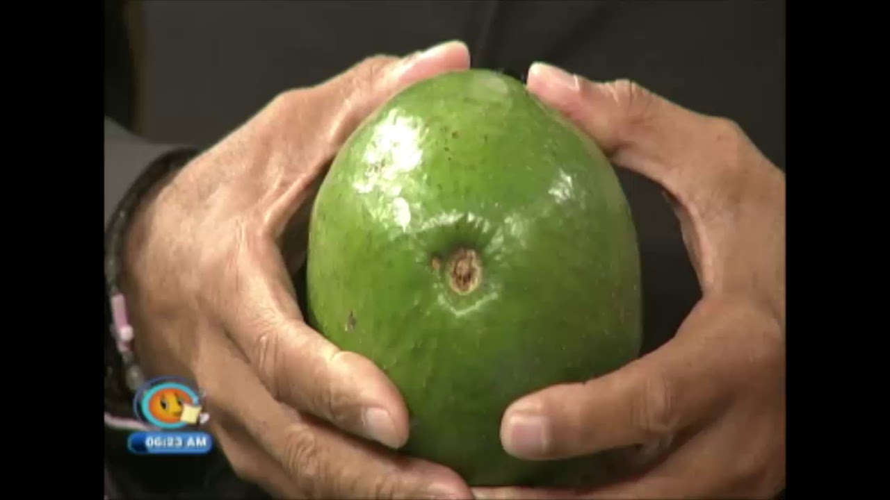 How To Tell If your Avocado Is Ripe (TVJ Smile Jamaica) November 5 2018 - YouTube