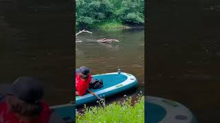 Floating down, the river  feel Amazing