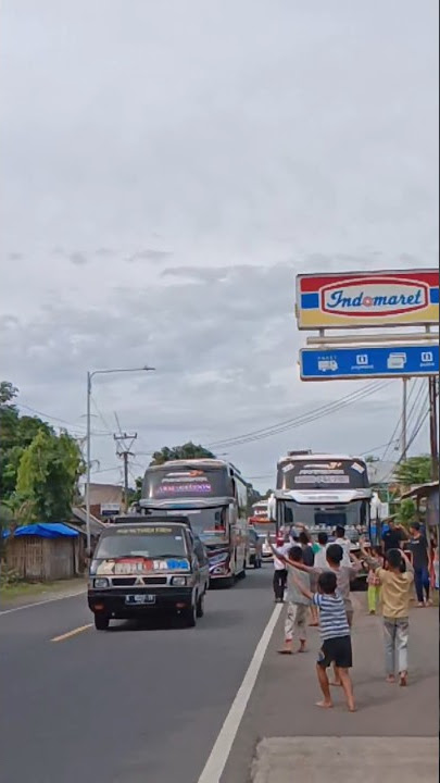 Telolet Basuri bus Tunggal Jaya Armageddon Ketika Menyalip Bus Tunggal Jaya Kids Panda #basuri