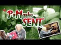 PM (PaMasko) Sent with Vice Ganda and Ion!!!