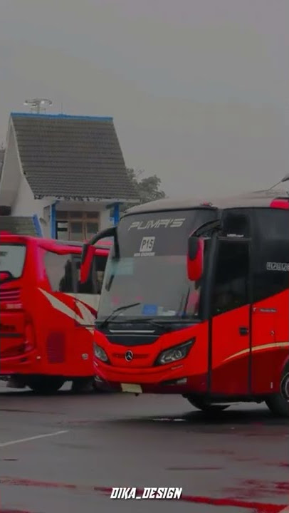 cinematik bus di terminal//30detik//keren banget. #busindonesia #busterminal#busmania #rosaliaindah