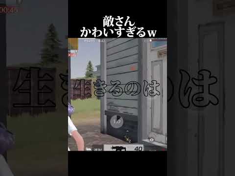 【泣く】敵の連携がうますぎるｗｗｗ【荒野行動】【れんぴき】