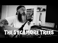 The sycamore trees official music