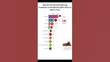 Top 10 Cinnamon Producing Countries in the World