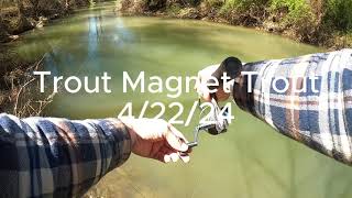 Trout Magnet Catches Fish