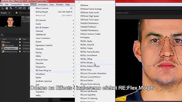 MORPHING AFTER EFFECTS RE: Vision Plug-ins RE: Flex Morph