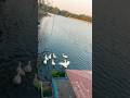 Must Visit Place in Bengaluru | Sankey Tank | #shortsvideo #mustvisitplaces #shorts