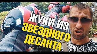 Гигантская рыба-монстр Арапайма. Огромные насекомые. Динозавры и шоу слонов. Сад Нонг Нуч Гигантская рыба-монстр Арапайма. Огромные насекомые. Динозавры и шоу слонов. Сад Нонг Нуч