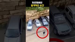 충격적인 자연재해
