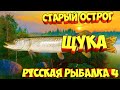 русская рыбалка 4 - Щука озеро Старый Острог - рр4 фарм Алексей Майоров russian fishing 4