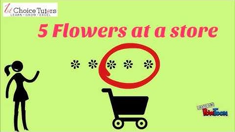 1stChoice Tutors: Introduction to Fractions