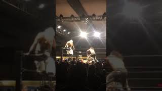 Impact Wrestling Knockouts Champion Taya Valkyrie Injured After Moonsault