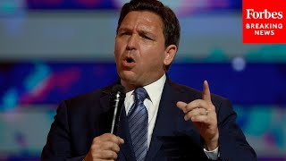'We're Going To Declare The Border To Be An Emergency On Day 1': DeSantis Outlines Immigration Plan