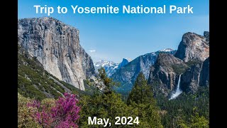 Yosemite with the Kids - May 2024