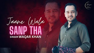 Jaane Wala Sanp Tha | Tera Howa Na Mera Howa | Waqar Khan | Saqlain Musakhelvi