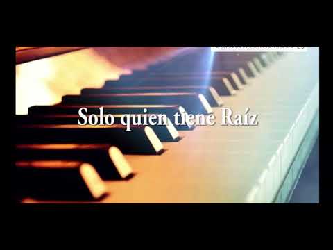 Solo quién tiene