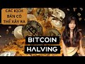 BITCOIN HALVING và các kịch bản có thể sảy ra hậu halving