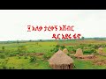             10 aleqa  tarekegn asheber  fano ethiopian music 2024