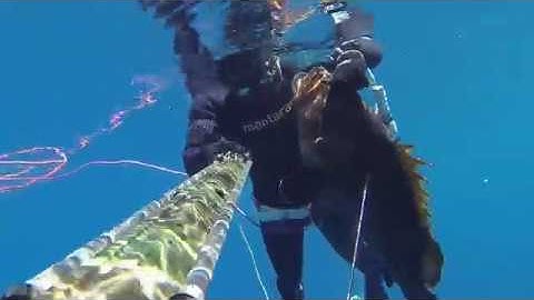 B Daniel Roller being used to catch a Huge Grouper! 15kg!