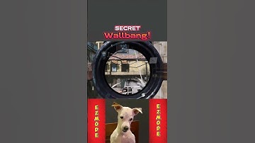 CODM:😱Sniper Wallbang Spot