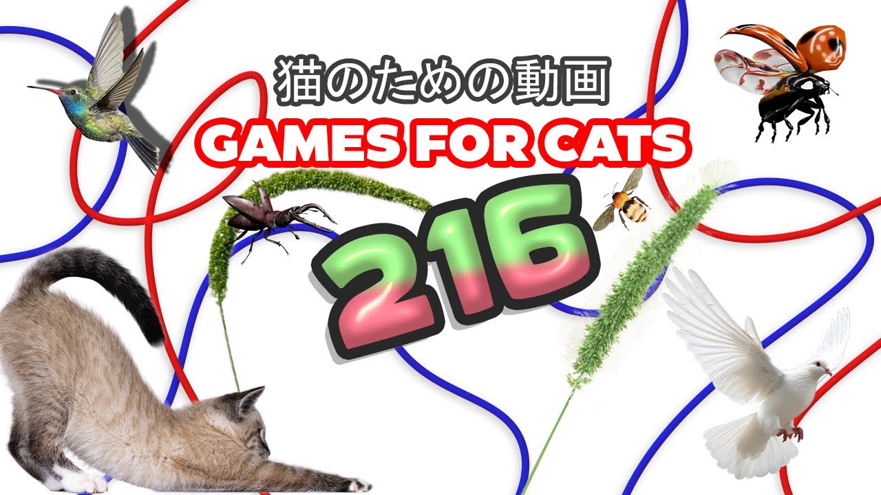 ねこ（3点） 猫 ステップ 「3個セット」 壁 足場 キャットステップ キャット
