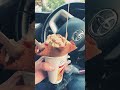#stockmarket #weekend #icecream