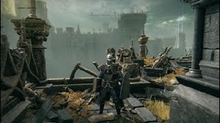 How to locate the grafted scion boss fight/and maidens blood for varre