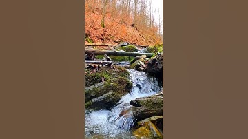 سورة الفاتحة بصوت الشيخ فواز الكعبي #القرآن_الكريم