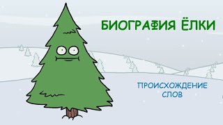 Биография ёлки/Происхождение слова "ёлка"