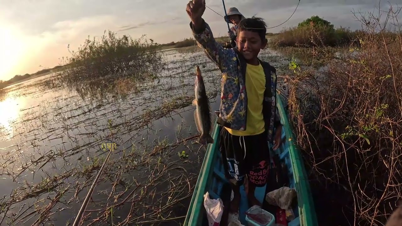 បឹងទន្លេសាបជាមួយស្ងាត់ក្មេង។ #បើកទូកចូលព្រៃ #មានសប្បាយមានទុក្ខ #គេចូលយើងចេញ #fishing #ដៃជ្រាយ