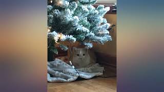 Christmas Tree Skirt 36 Inch Double Layers Jacquard Cashmere Snow Flake Xmas review
