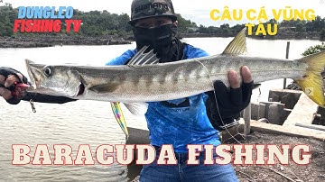 Câu lure toàn cá bự,  Nhồng Mú GT  tại hồ câu Hai sự ,long sơn ,Vũng tàu || Dungleo fishing tv